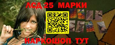 a pvp Моздок