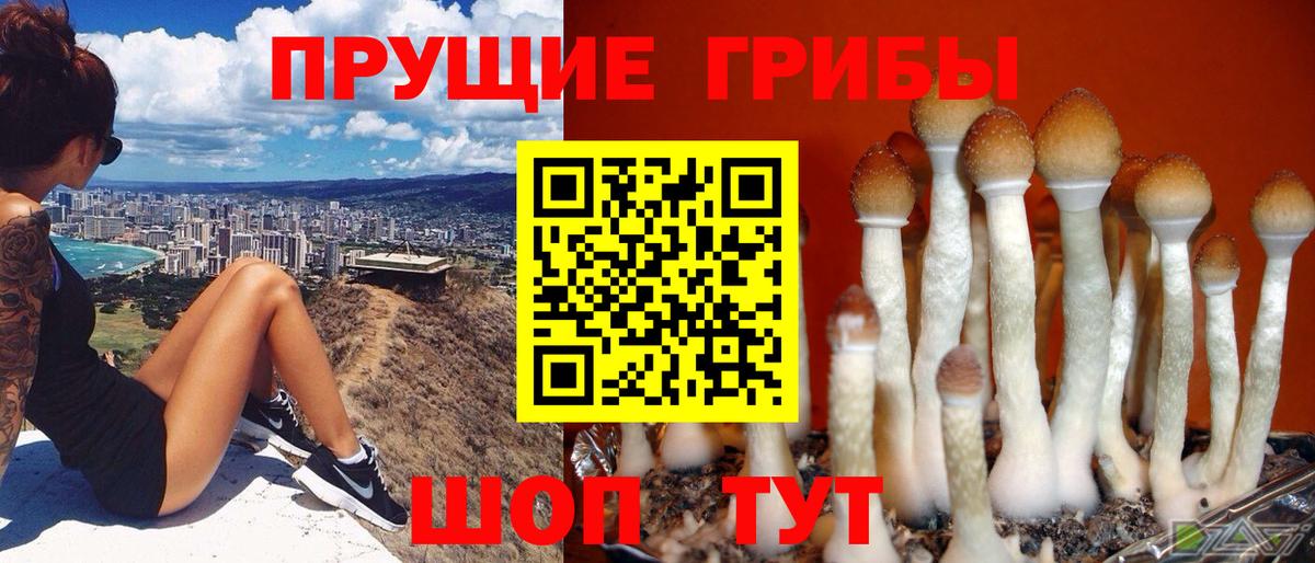 Галлюциногенные грибы мухоморы Северодвинск