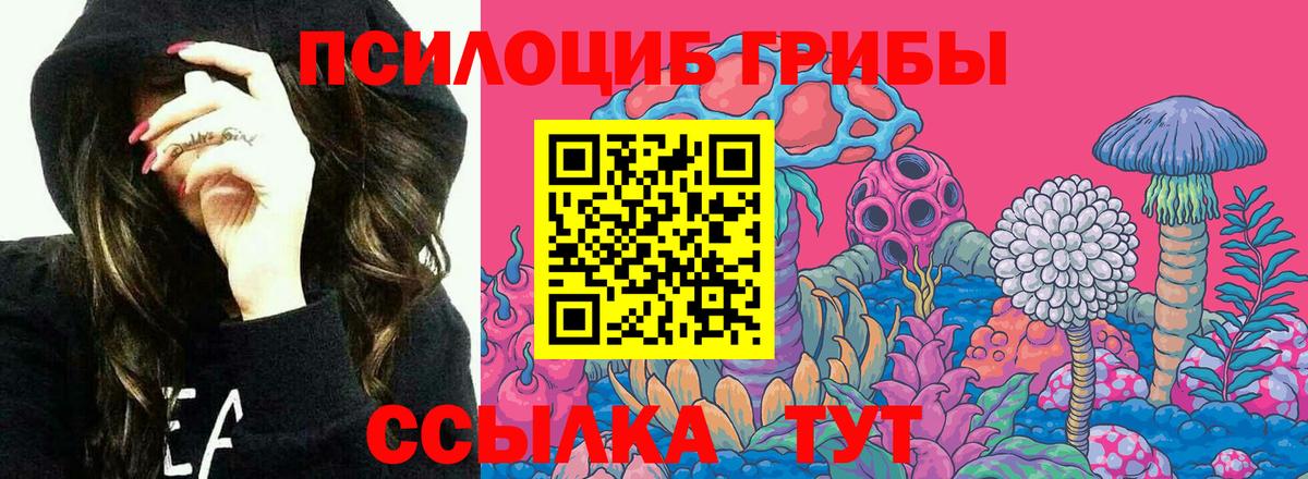 Северодвинск  Галлюциногенные грибы MAGIC MUSHROOMS  Вход с VPN 